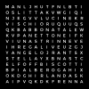 word search icon